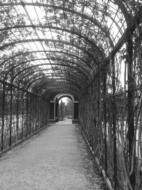 Vienna bn schonbrunn giardino
