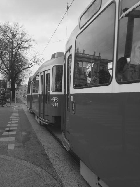 Vienna bn tram