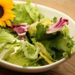 Insalata con foglie verdi, evidenziando tonalità amare, in un piatto decorativo.